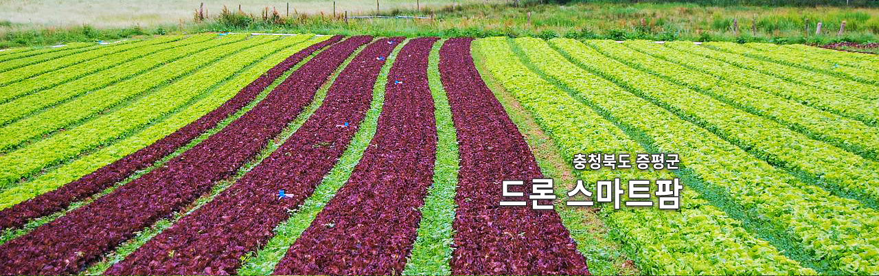 FARM 3